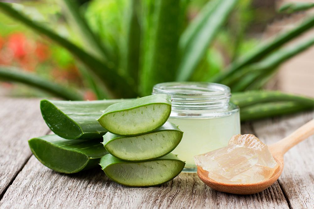 The Miraculous Aloe Vera: Natures Gift To Skincare